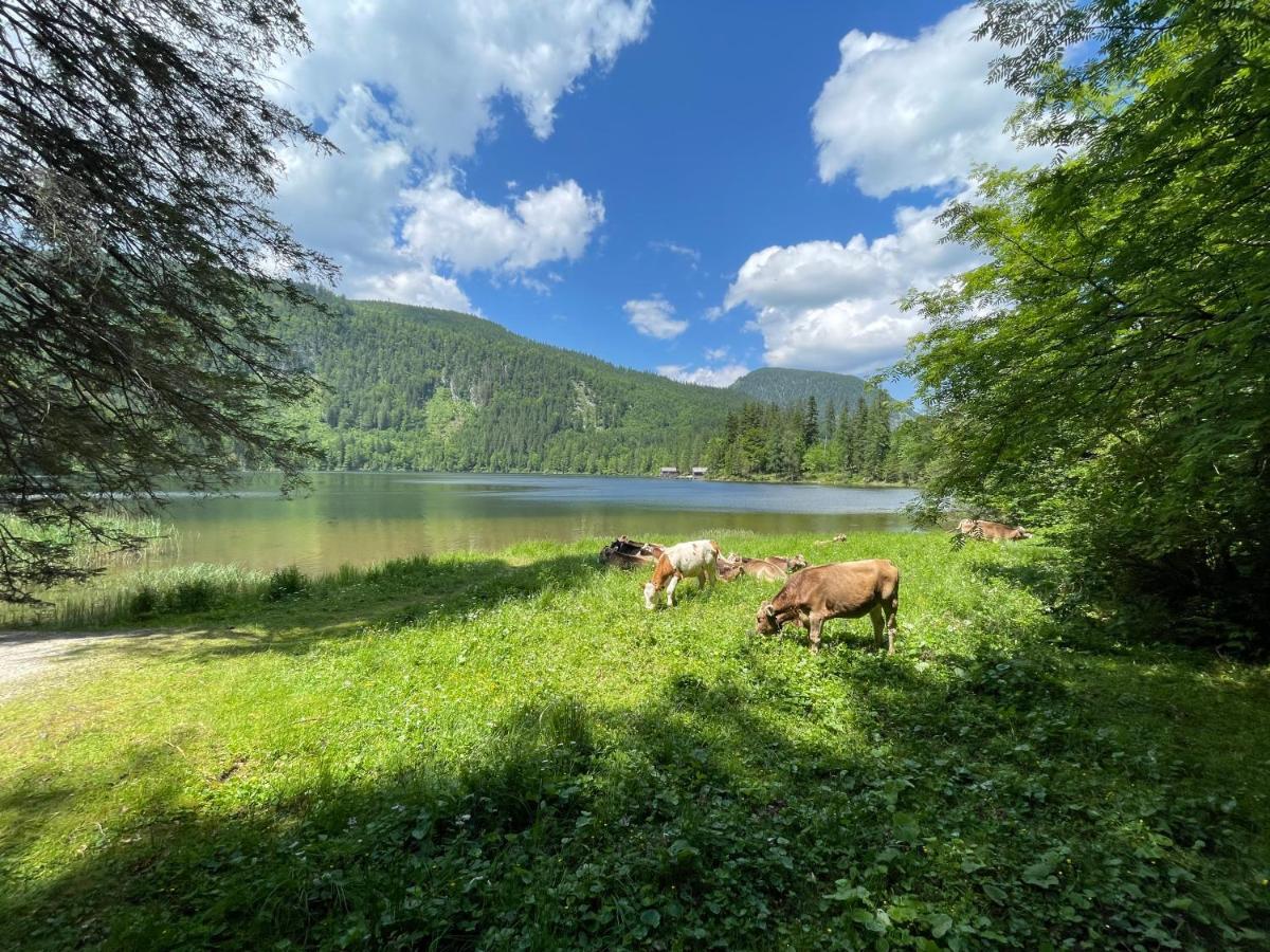 Bed and Breakfast Haus Bodenwinkler Грёбминг Экстерьер фото